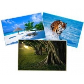 100 Folhas Papel Foto Glossy 135g A4 Á Prova Dagua - Branco